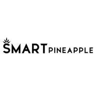 Smart Pineapple