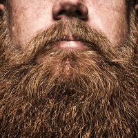 Beard Affiliate Programs
