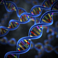 DNA Affiliate Programs