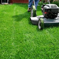 Lawn Care