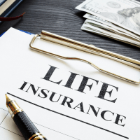 Life Insurance