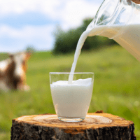 Milk Affiliate Programs