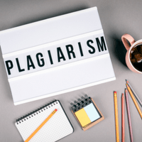 Plagiarism Detection