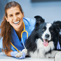 Veterinary Affiliate Programs